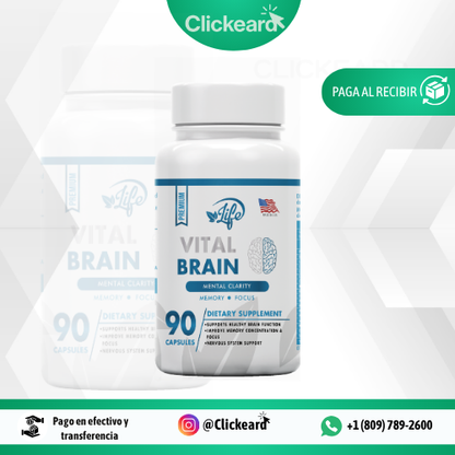 🧠 Vital Brain Powder – ¡Despierta el poder de tu mente!